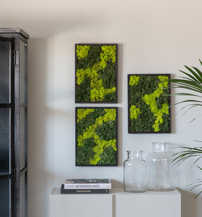 Mosebilde grønn firkantet Mosebilde grønn firkantet